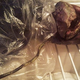 Illustration for article titled A Crazy Woman Kept a Rotting Vegetable in Her Fridge for Two Years Because She Thought It Was an Alien